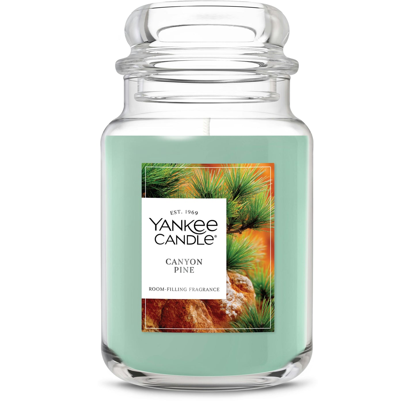 Canyon Pine JYN8