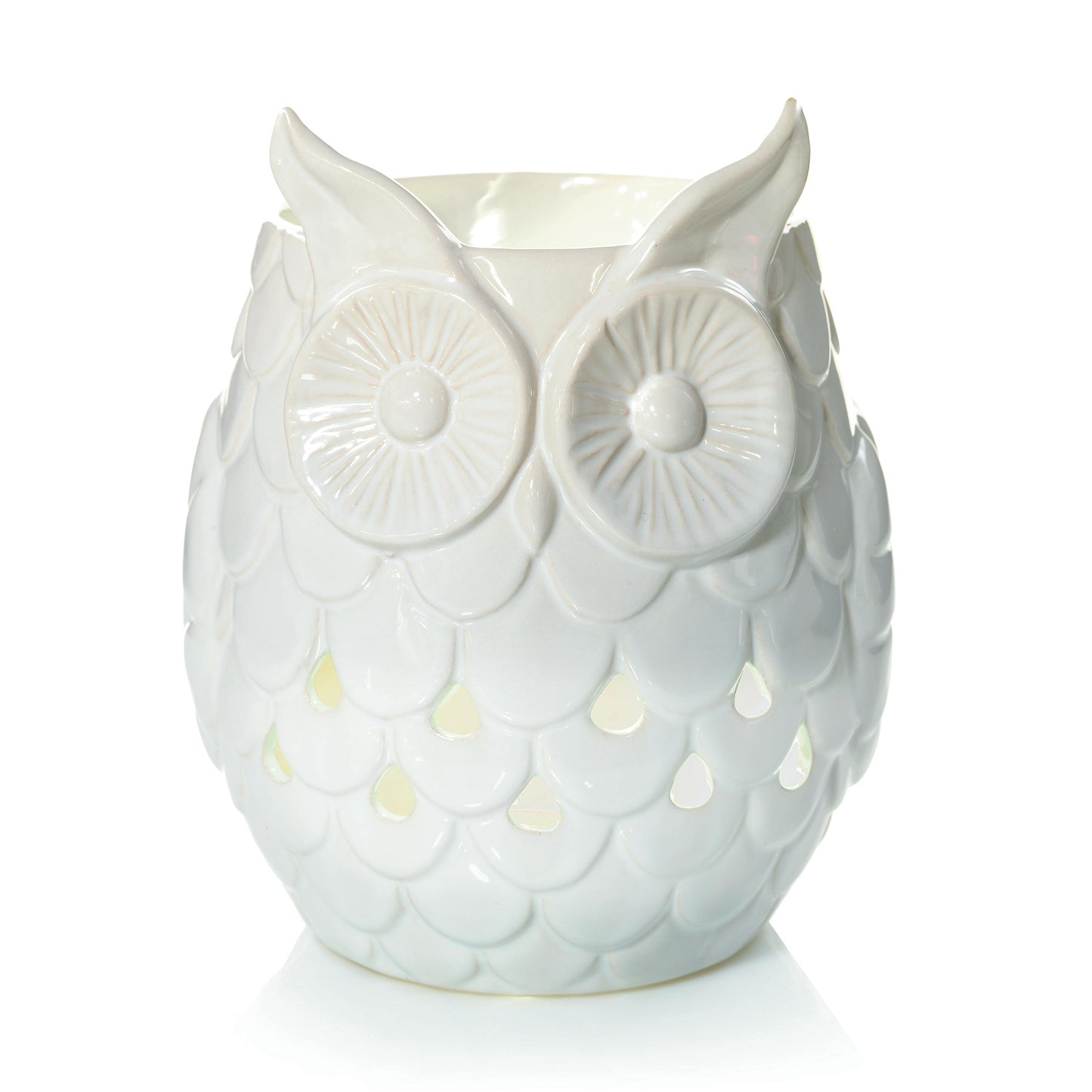 Owl 9STX