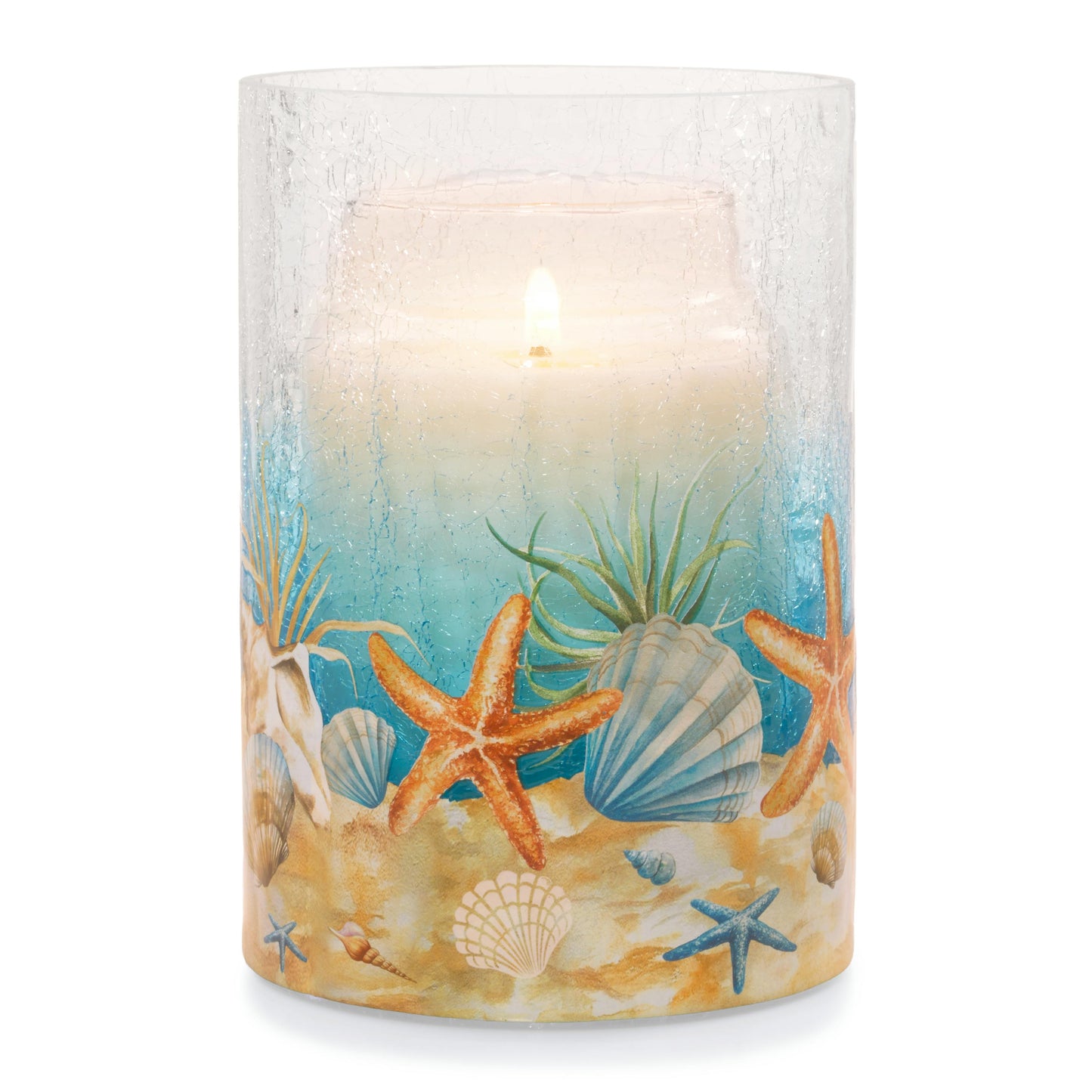 Coastal Jar Candle Holder 7D6U