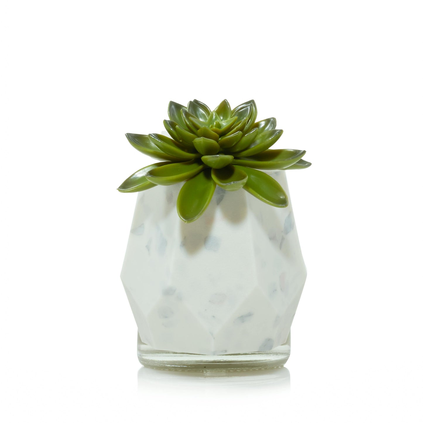 Faceted Succulent ScentPlug® Diffuser with Light 2OHA