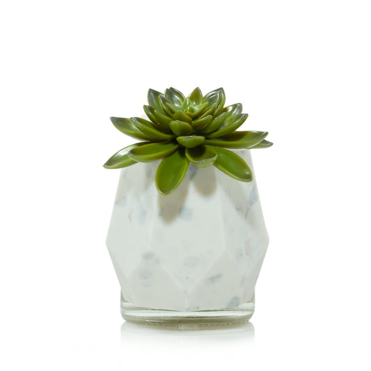 Faceted Succulent ScentPlug® Diffuser with Light 2OHA